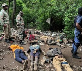 Operation Vala Umgodi