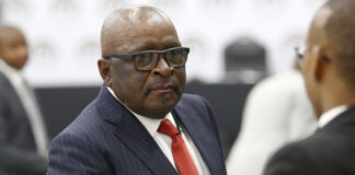 Ramatlhodi’s Bapedi posting questioned