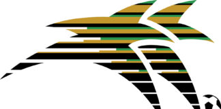 A tale of two Bafana sides, one needs refining 