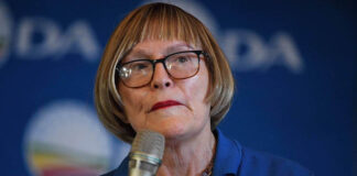 DA's Helen Zille takes government to court