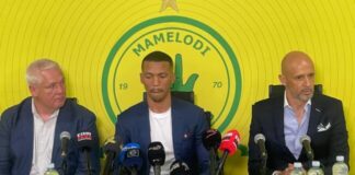 Sundowns appoint new coach