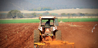 Expropriation Act will not speed up land reform in SA