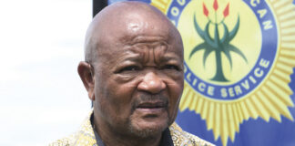 'Ramaphosa doesn't have power to suspend minister Mchunu'