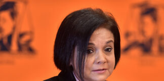 Batohi out to get me, says NPA’s Chauke 
