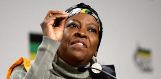 ANC's Gauteng, KZN task teams full list to be unveiled next week