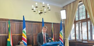 Cut spending and sell land instead of increasing VAT, says DA