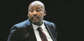 Gayton McKenzie told Parliament he was not responsible for employing staff or paying their salaries at DTMH.