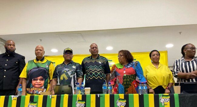 Mbalula says ANC reconfiguration is not punitive