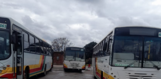 Great North Transport suspends operations in Limpopo village