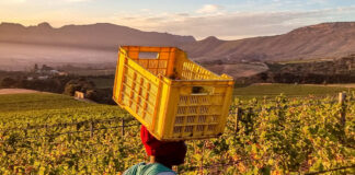 Corruption and land reform failures fuel hunger 