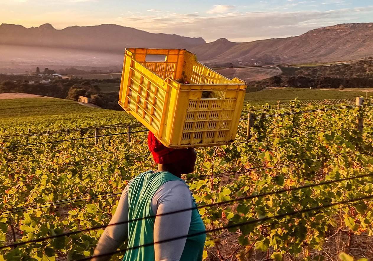 Corruption and land reform failures fuel hunger 