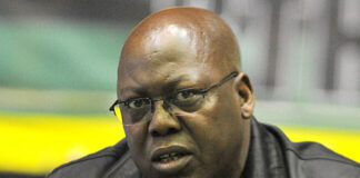 ANC KZN touts coalitions, courts critics in comeback bid