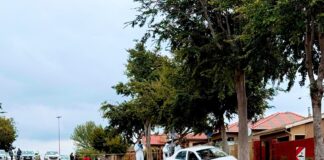 Taxi killings
