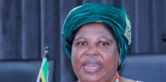 Calls for probe as KZN municipality makes 'dubious' appointments