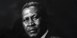 Chief Albert Luthuli court outcome