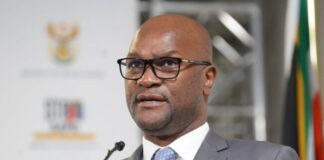Former arts, culture minister Nathi Mthethwa accused of nepotism