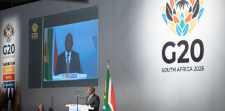 SA’s presidency of G20 a chance to foster a just, equitable green future