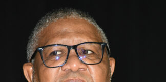 Mbalula whips out disputed state capture resolution