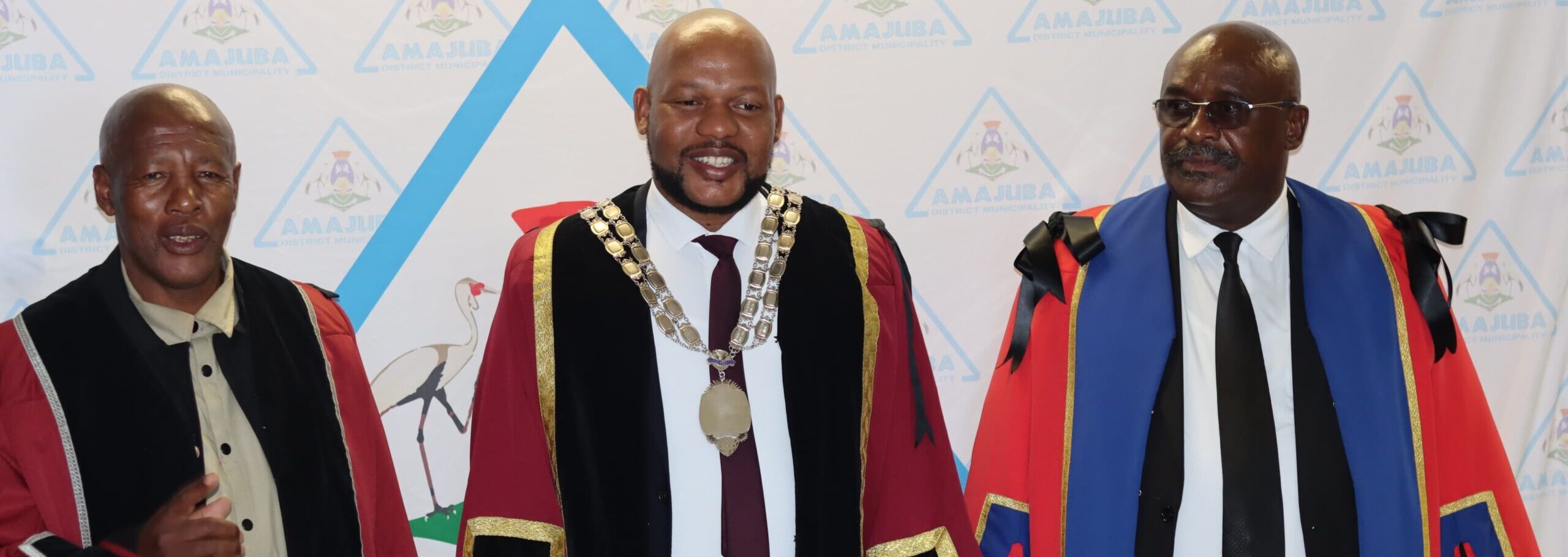 ANC, TSSA challenge election of IFP members to mayoral posts