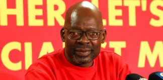 Land reform fails due to lack of political will – Solly Mapaila