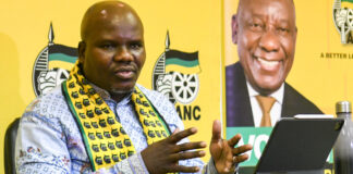 Luthuli House ambushes ANC chief whip Mdumiseni Ntuli 