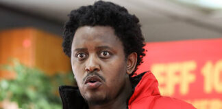 EFF looks to China as antidote to Donald Trump 