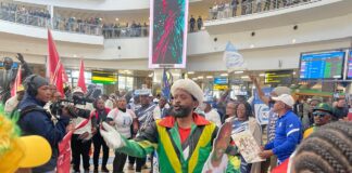 Victorious Proteas players receive warm welcome