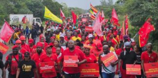 Ex-councillor wins levy battle against EFF, sends sheriff for refund