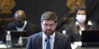 Michalakis is the new DA parliamentary leader
