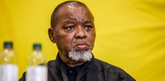 Gwede Mantashe emerges triumphant in court