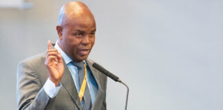 Mpumalanga Premier Mandla Ndlovu.