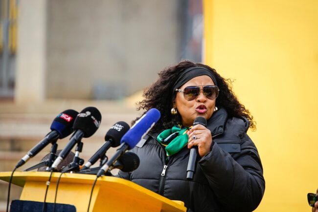 Nomvula Mokonyane says ANC will defend Zuma's expulsion
