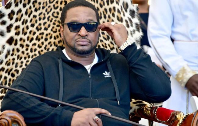 Ingonyama Trust asks Mkhize to show acting CEO Vilakazi ropes