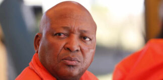 Kunene loses coart battle against Malema