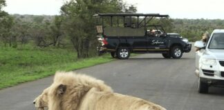Tourism booming in Mpumalanga