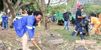 Salga wants Treasury to release municipal funds