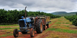 Fuel price increase impacts on agricultural sector