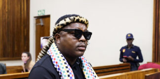 Ngizw Mchunu loses against Julius Malema