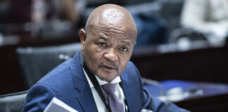 Suspended Police Minister Senzo Mchunu