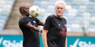 Hugo Broos' succession plan