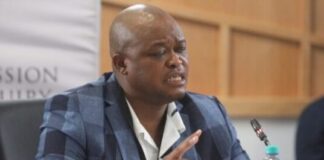 Brown Mogotsi remanded in custody