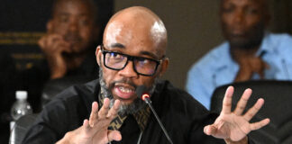 Cat Matlala at the parliamentary inquiry into police crime