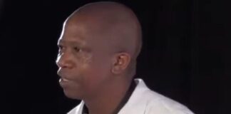 Charles Mabaso gets top job at NAC