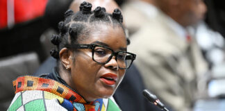 Investigation puts Nkabane under the bus