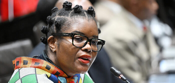 Investigation puts Nkabane under the bus