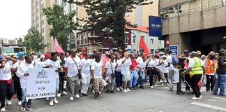 ILF SACP and black farmers alongside partners in the farming sector march to Union Buildings on Thursday to demand end of segregation and marginalisation of black farmers./ Izwi Labantu Forum