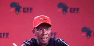 IEC accuses Malema of spreading lies