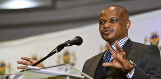 Court upholds appointment of Andy Mothibi