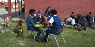 Learner struck by pole and dies in school premises