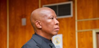 Malema gets jail term